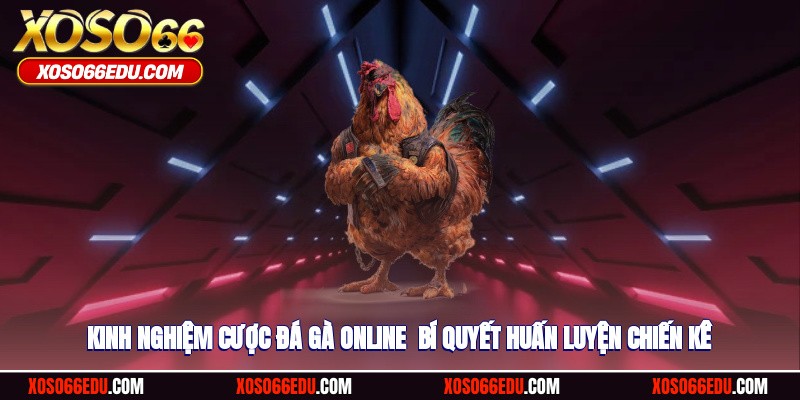 Kinh Nghiệm Cược Đá Gà Online - Bí Quyết Để Luôn Thắng