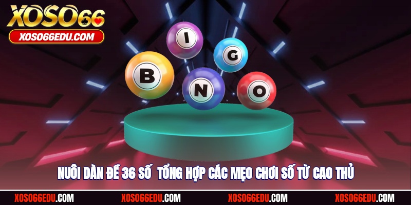 Nuôi Dàn Đề 36 Số - Tổng Hợp Các Mẹo Chơi Số Từ Cao Thủ